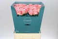 Farm Fresh Rosa Gr Sophia Lauren (Bunch of 10 stems, Length 60cm)