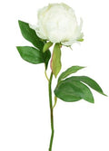 Artificial Peony Spray White Cream 62cm