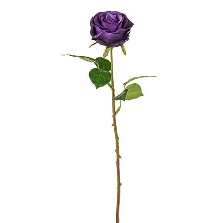 Elsa Rosebud Purple 44cm (Pack of 2)
