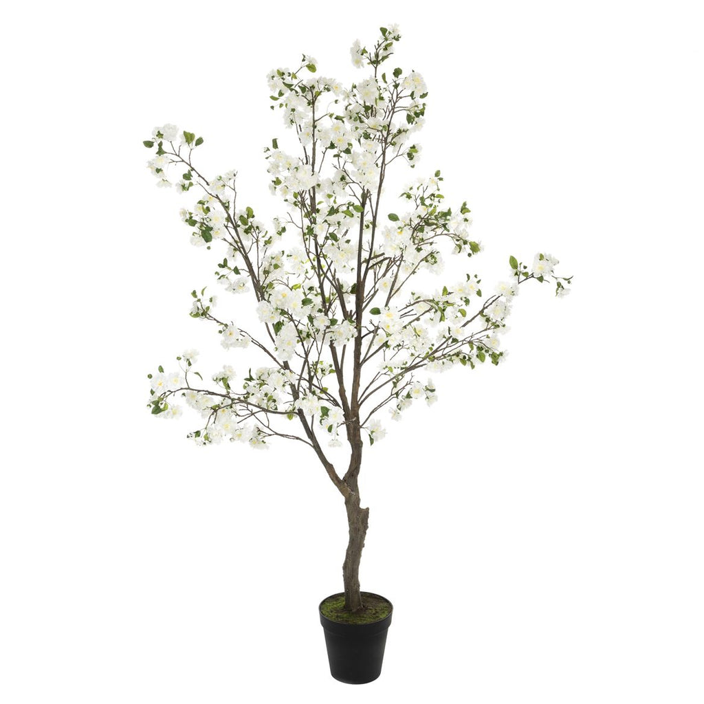 Cherry Blossom Tree White 250cm