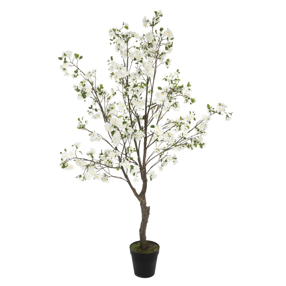 Cherry Blossom Tree White 250cm