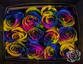 Farm Fresh Rosa Ecuadorian Gr  Tinted Rainbow(Bunch of 25 stems, Length 50cm)