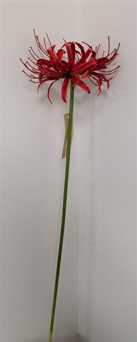 Artificial Lycoris Radiata Red 64cm