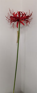 Artificial Lycoris Radiata Red 64cm