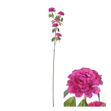 Artificial Ranunculus Fuchsia 70cm