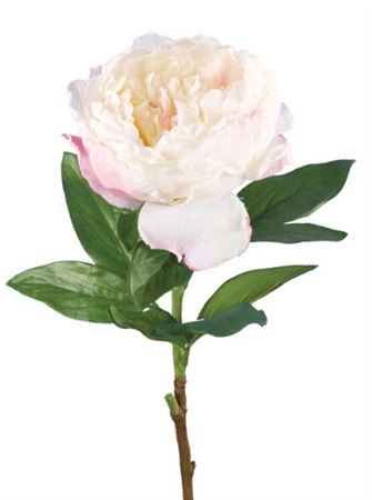 Artificial Garden Peony Cream Blush 70cm