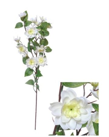 Artificial Mucuna Birdwoodiana 72cm White