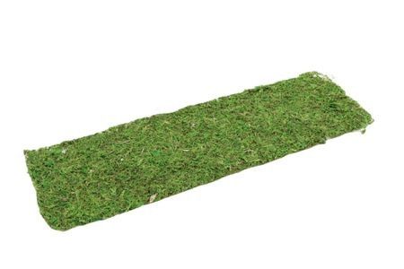 Sheet Asia 58x18cm (Pack of 2)