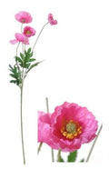 Artificial Poppy Fuchsia 59cm (Pack of 4)