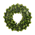 Wreath Succulent 40cm