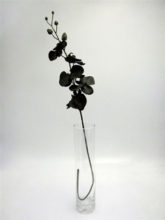 Artificial Silk Orchid Black (Pack of 2)