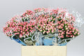 Farm Fresh Hypercium Coco Casino(Bunch of 10stems, Length 70cm)
