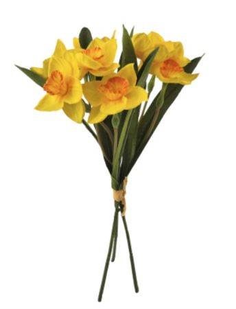 Narcissus Hand Tied Yellow (Pack of 2)