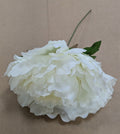 Artificial Peony Pick White X20