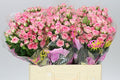 Farm Fresh Rosa Tr Tralala(Bunch of 10 stems, Length 60cm)