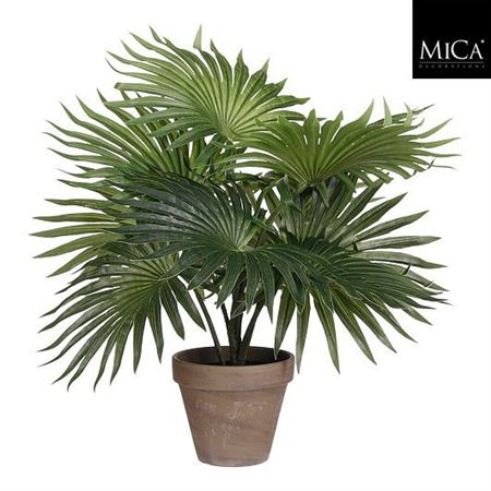 Palm Green In Pot Stan Grey