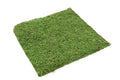 Sheet Asia 38x38cm (Pack of 2)