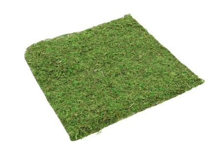 Sheet Asia 38x38cm (Pack of 2)