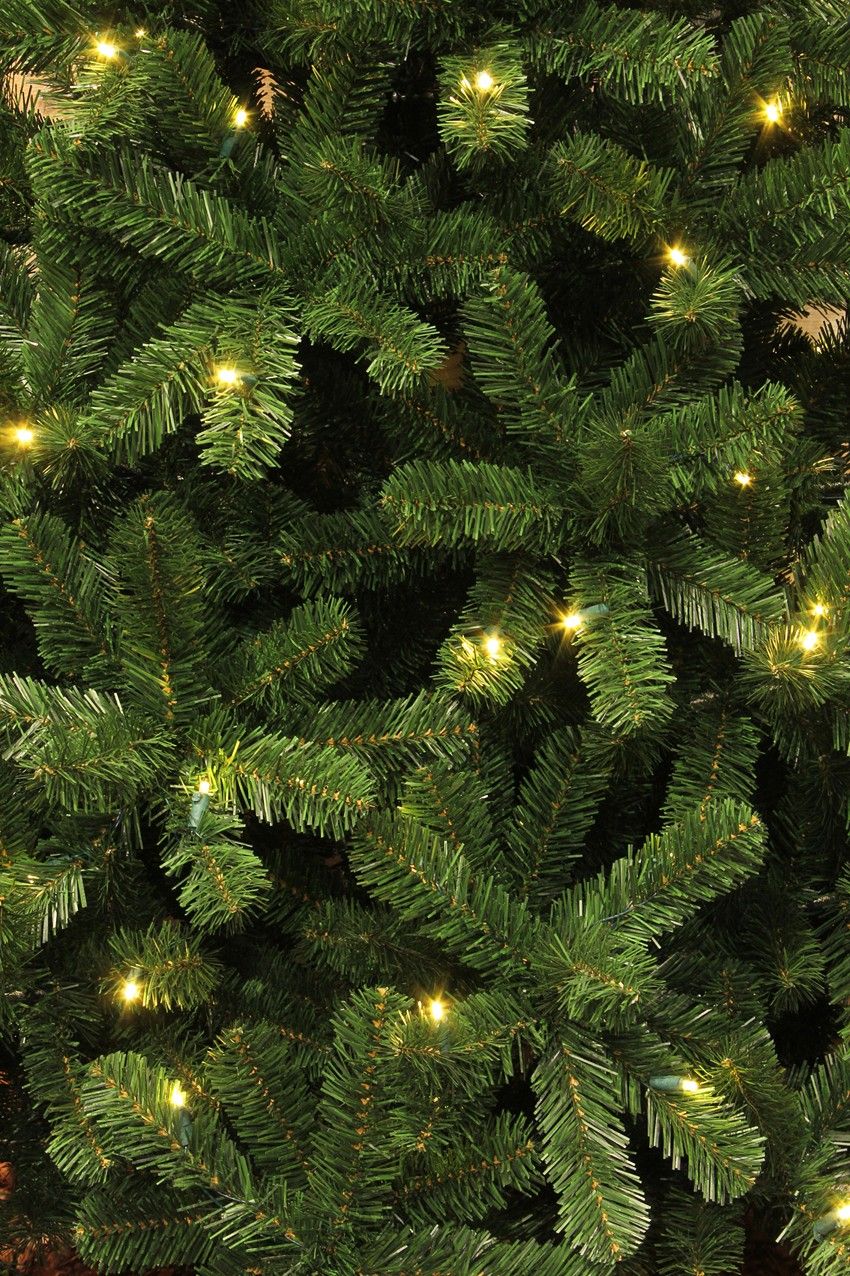 Tree L E D Charlton Green 230cm