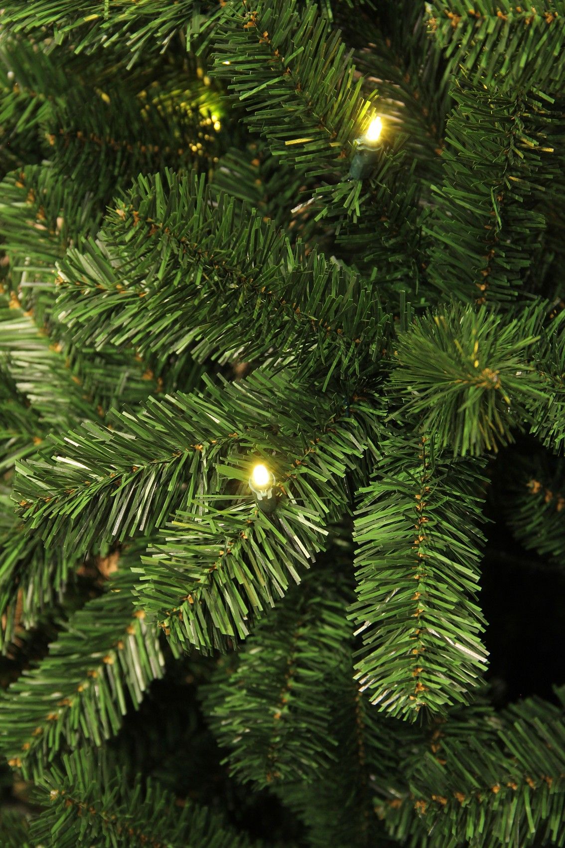 Tree L E D Charlton Green 230cm